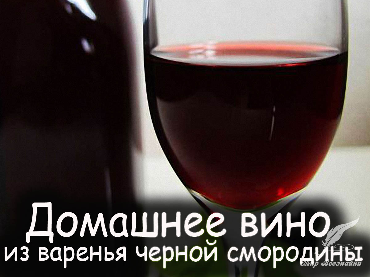 Домашнее вино из варенья черной смородины