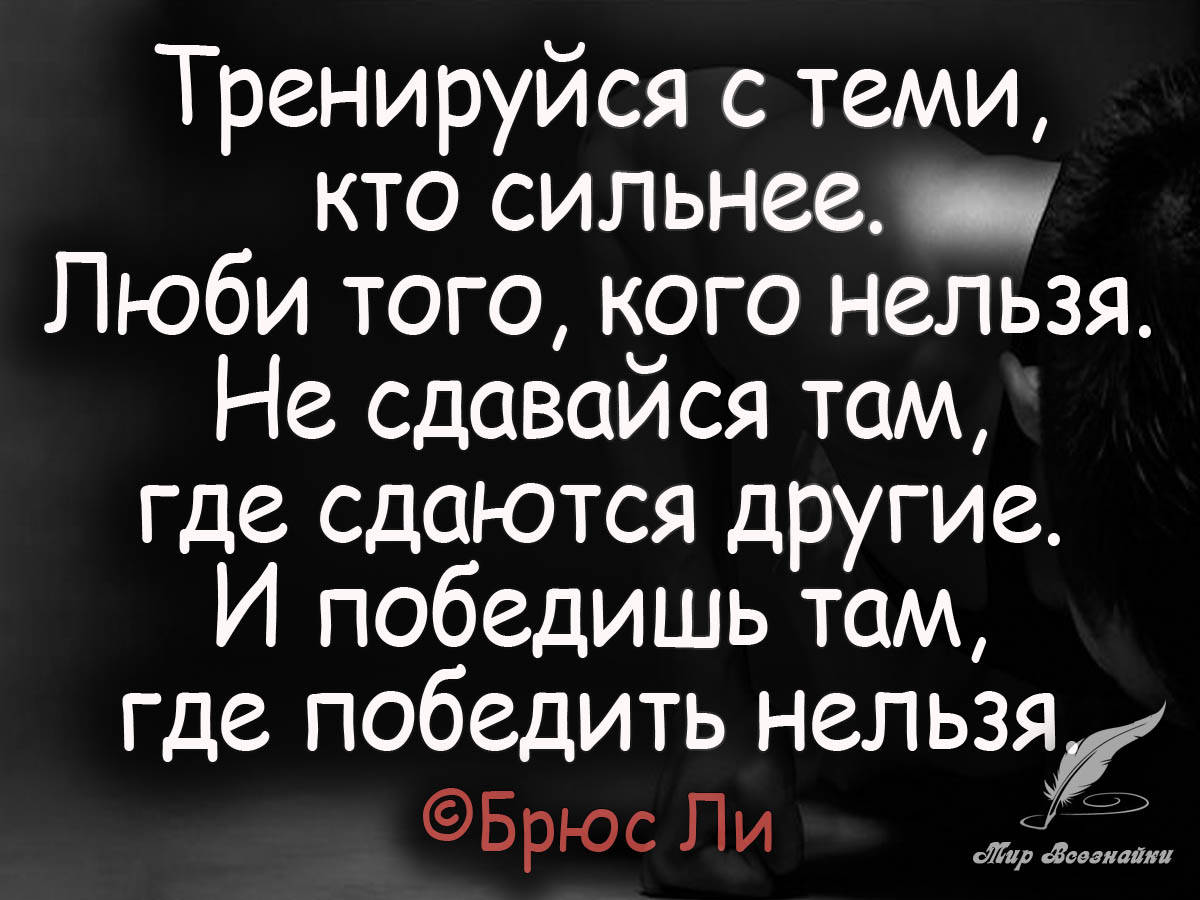 фанфик бороться и искать не найти и не сдаваться фото 26