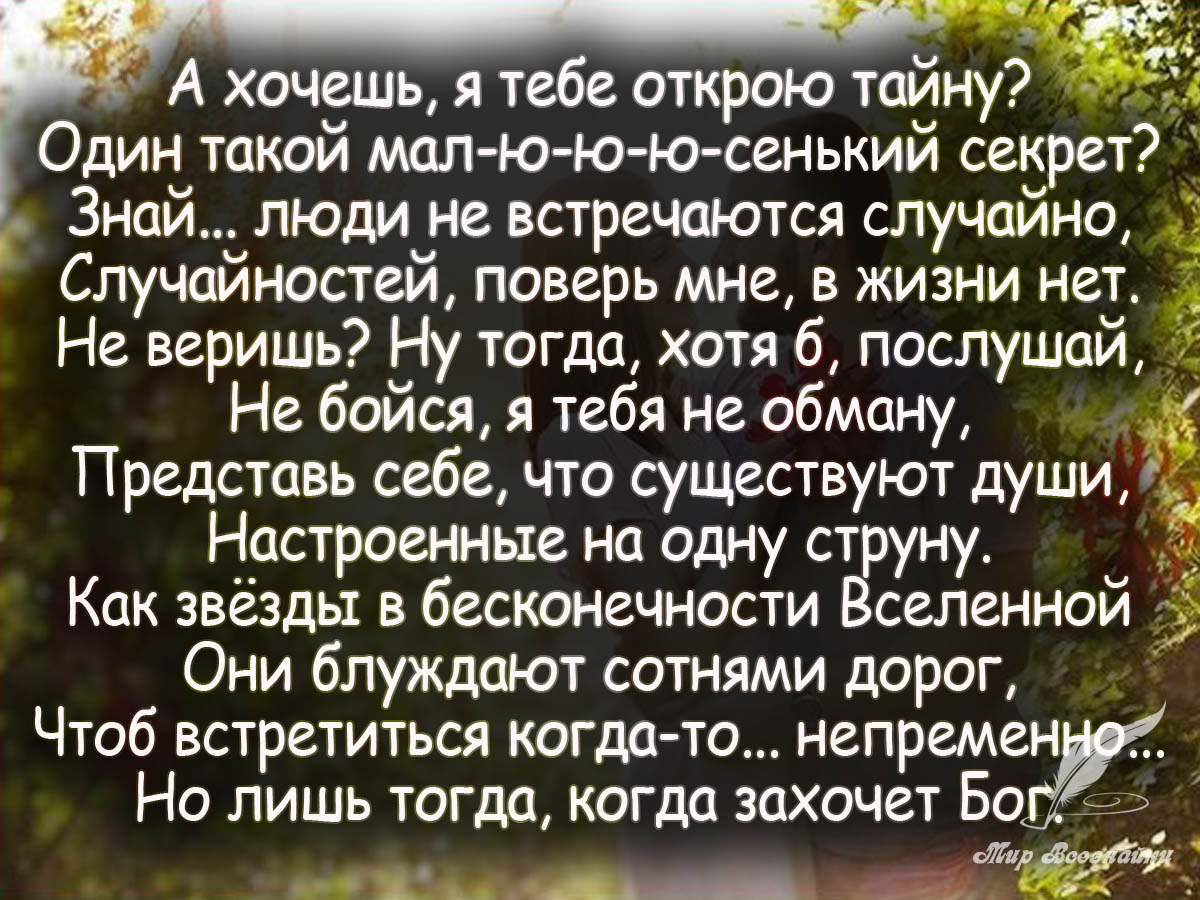 фанфик хочешь я открою тайну не бывает идеально фото 8