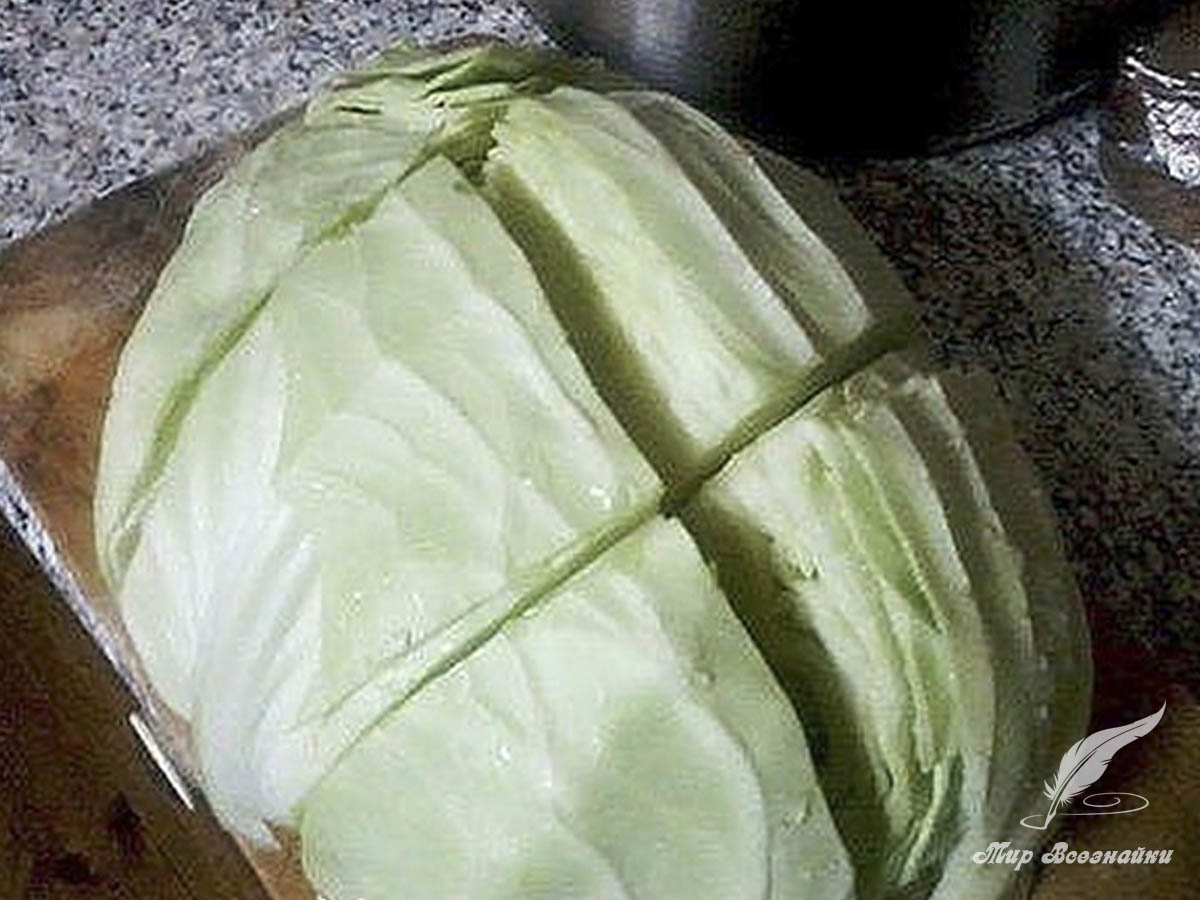 Капуста кусочками