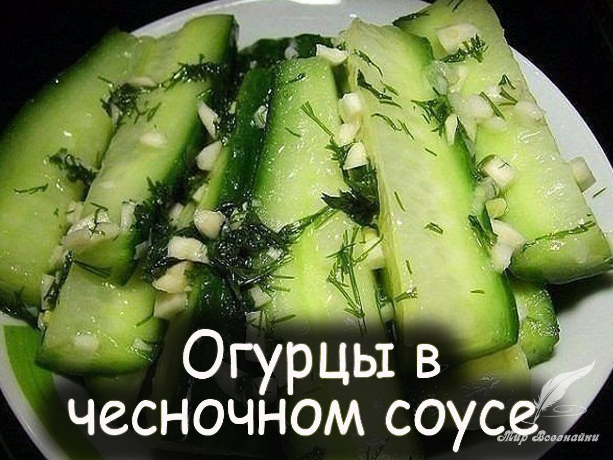 Заготовки из огурцов - Вкусные рецепты от Мир Всезнайки