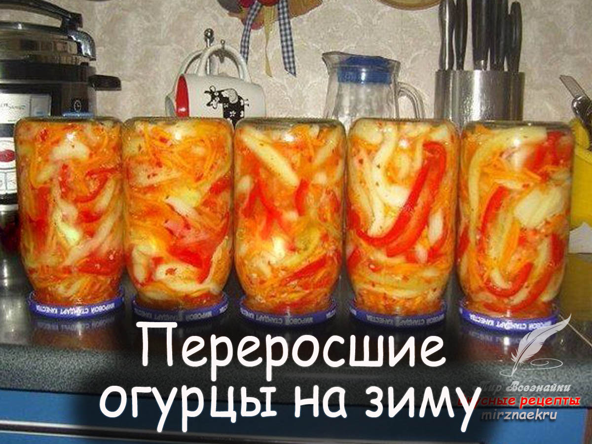 Заготовки из огурцов - Вкусные рецепты от Мир Всезнайки