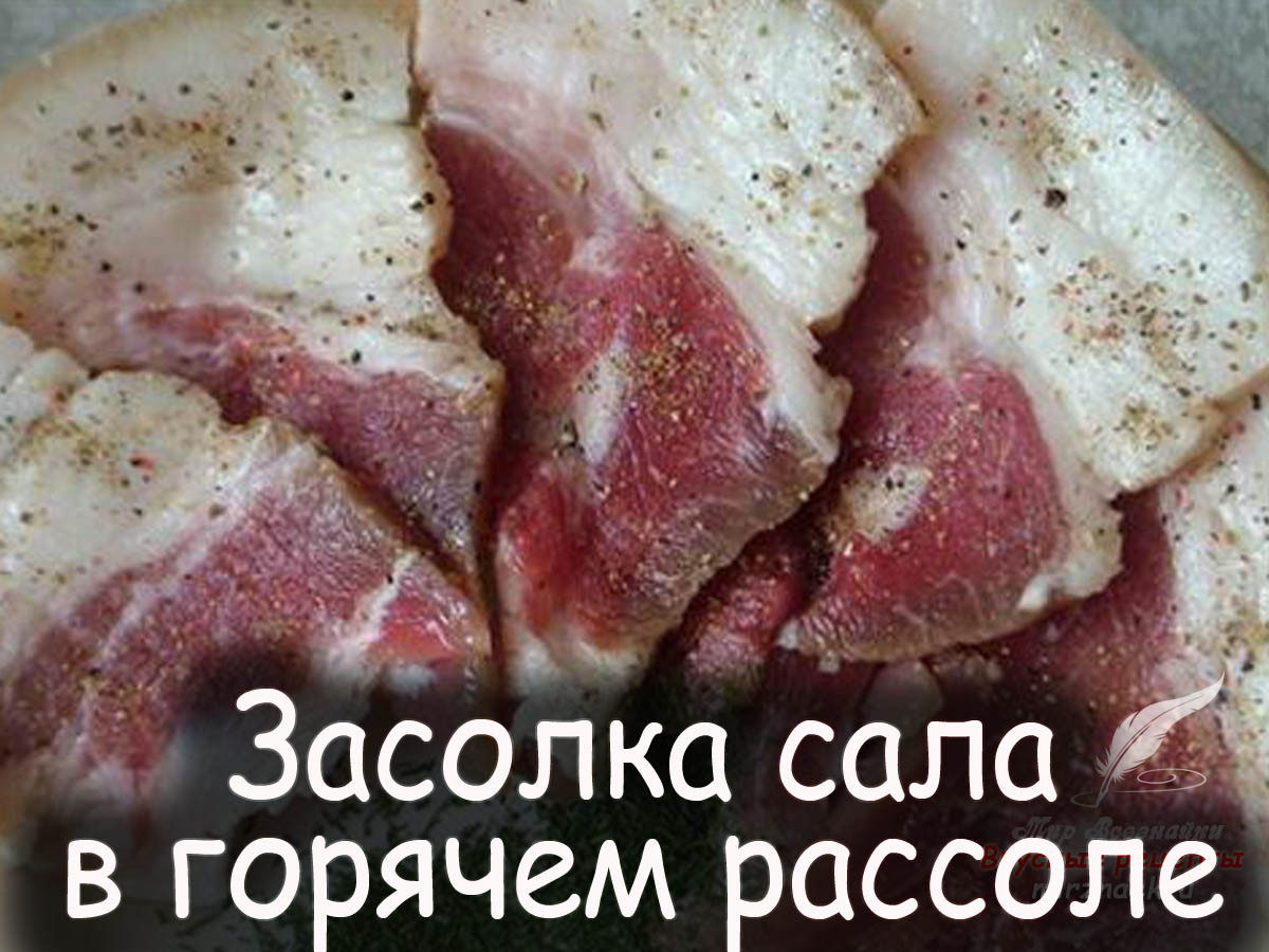 Засолить вкусную. Сало в рассоле. Сало в рассоле горячим. Сало в рассоле с чесноком. Засолка сала горячим.