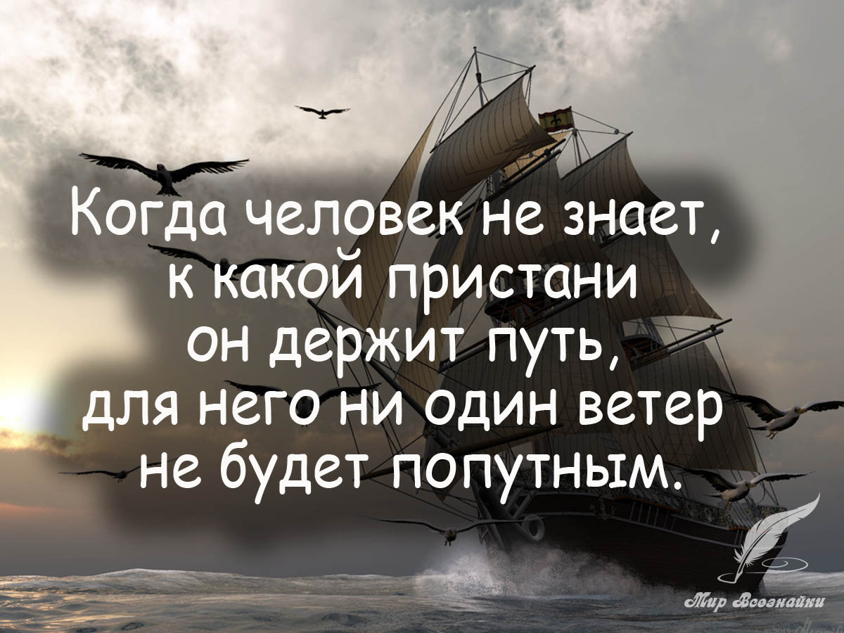 Людях если вы знаете какие. Высказывания о ветре. Цитаты про ветер. Красивые цитаты о ветре. Афоризмы про корабли.